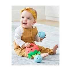 Skip Hop Farmstand Berry Cute Band Clearance