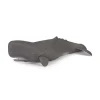 PAPO INTERNATIONAL INC. Sperm Whale Online