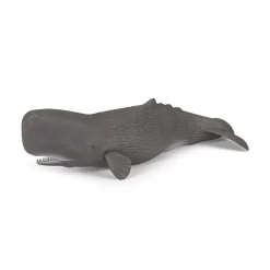 PAPO INTERNATIONAL INC. Sperm Whale Online