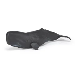 PAPO INTERNATIONAL INC. Sperm Whale Online