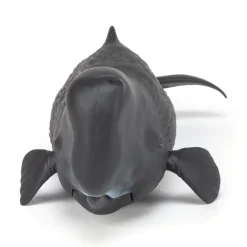 PAPO INTERNATIONAL INC. Sperm Whale Online