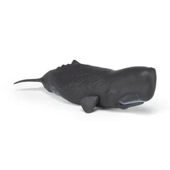 PAPO INTERNATIONAL INC. Sperm Whale Online