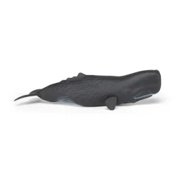 PAPO INTERNATIONAL INC. Sperm Whale Online