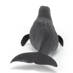 PAPO INTERNATIONAL INC. Sperm Whale Online