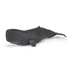 PAPO INTERNATIONAL INC. Sperm Whale Online