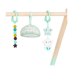 B. Toys Starry Sky Wooden Play Gym Hot