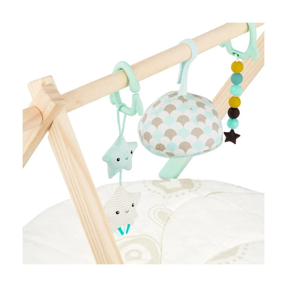 B. Toys Starry Sky Wooden Play Gym Hot