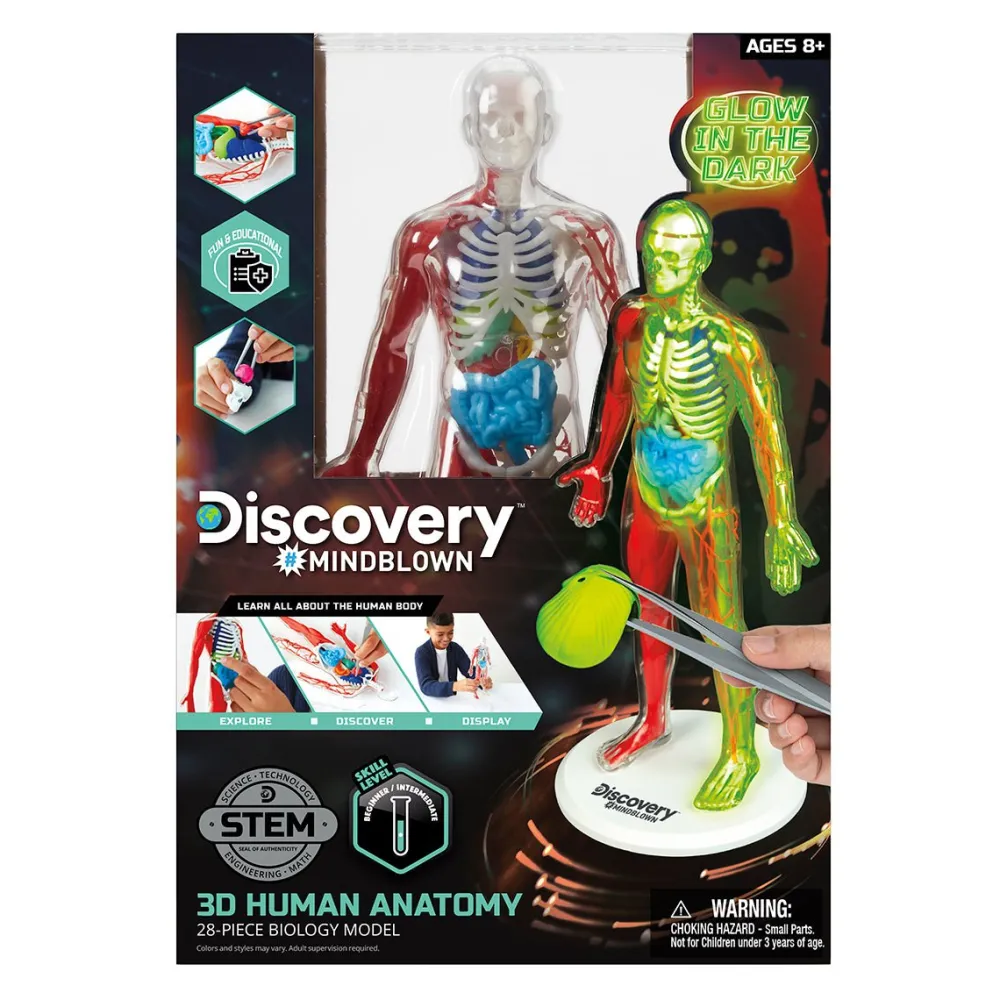 4378814 Canada Inc. / Red Planet Group Toy Human Anatomy Kit Clearance