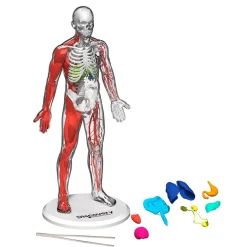 4378814 Canada Inc. / Red Planet Group Toy Human Anatomy Kit Clearance