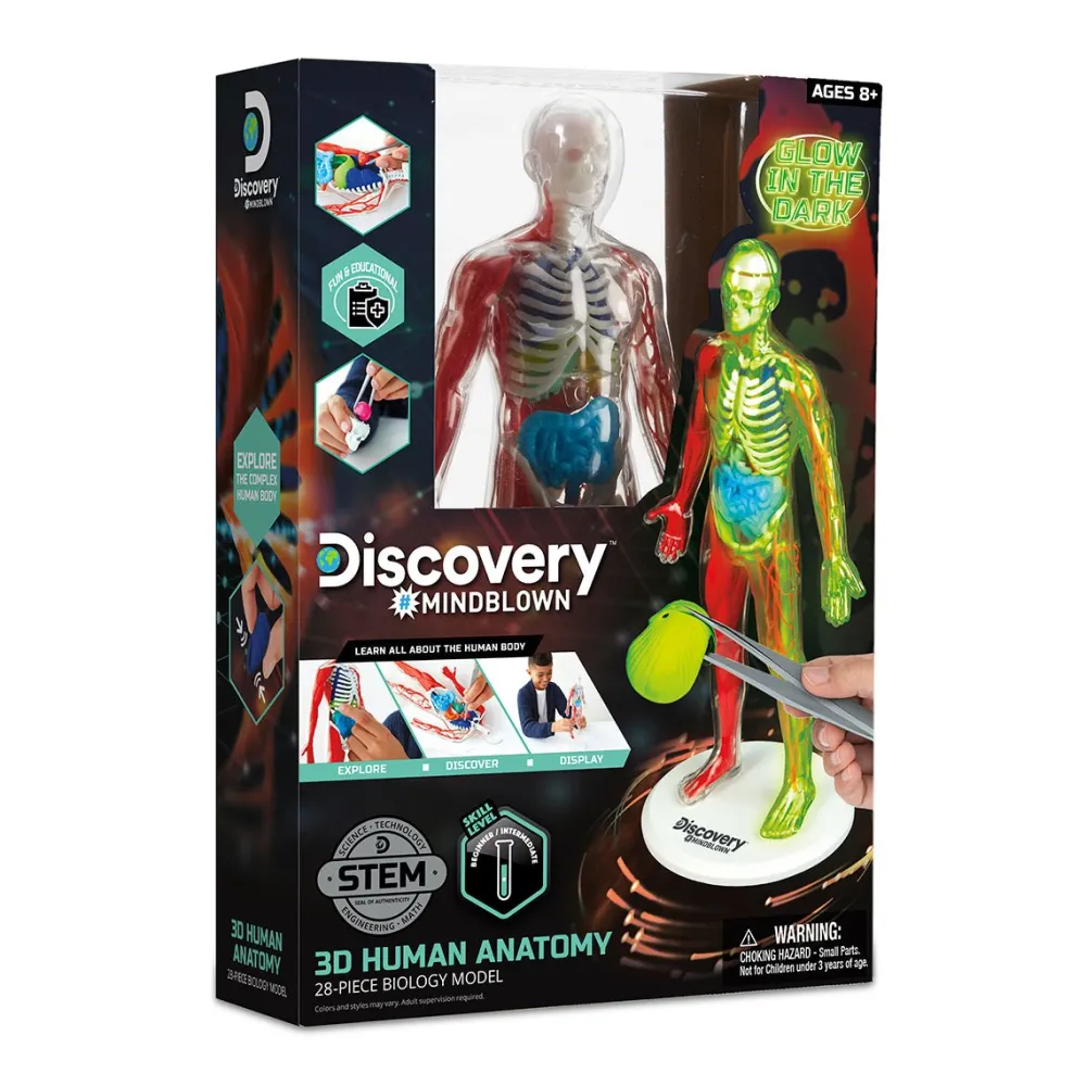 4378814 Canada Inc. / Red Planet Group Toy Human Anatomy Kit Clearance