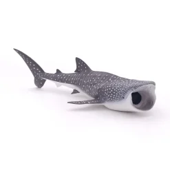 PAPO INTERNATIONAL INC. Whale Shark Best