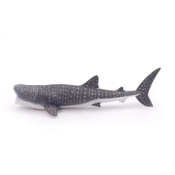 PAPO INTERNATIONAL INC. Whale Shark Best