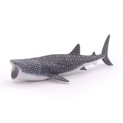 PAPO INTERNATIONAL INC. Whale Shark Best