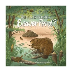 Hachette Book Group What Goes on inside a Beaver Pond? Clearance