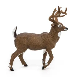 PAPO INTERNATIONAL INC. White-Tailed Deer Sale