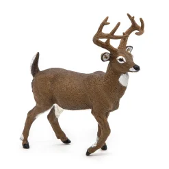 PAPO INTERNATIONAL INC. White-Tailed Deer Sale