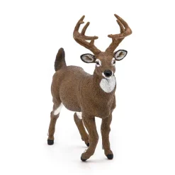 PAPO INTERNATIONAL INC. White-Tailed Deer Sale