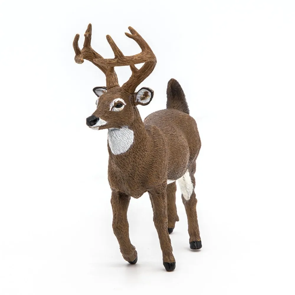 PAPO INTERNATIONAL INC. White-Tailed Deer Sale