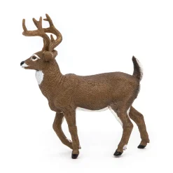 PAPO INTERNATIONAL INC. White-Tailed Deer Sale