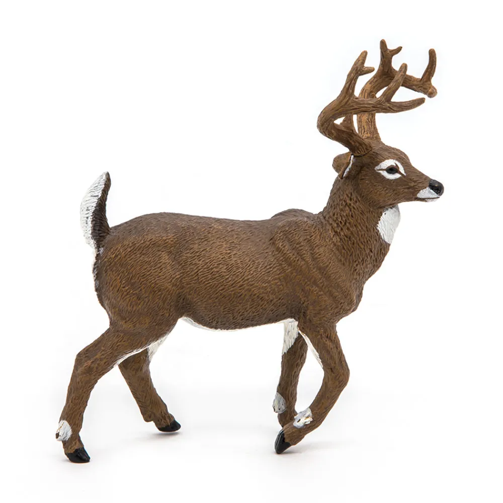 PAPO INTERNATIONAL INC. White-Tailed Deer Sale