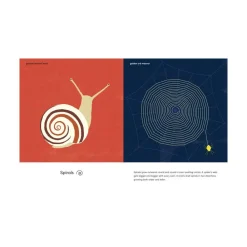 Mastermind Toys Wings, Waves & Webs Patterns in Nature Outlet