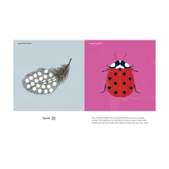 Mastermind Toys Wings, Waves & Webs Patterns in Nature Outlet