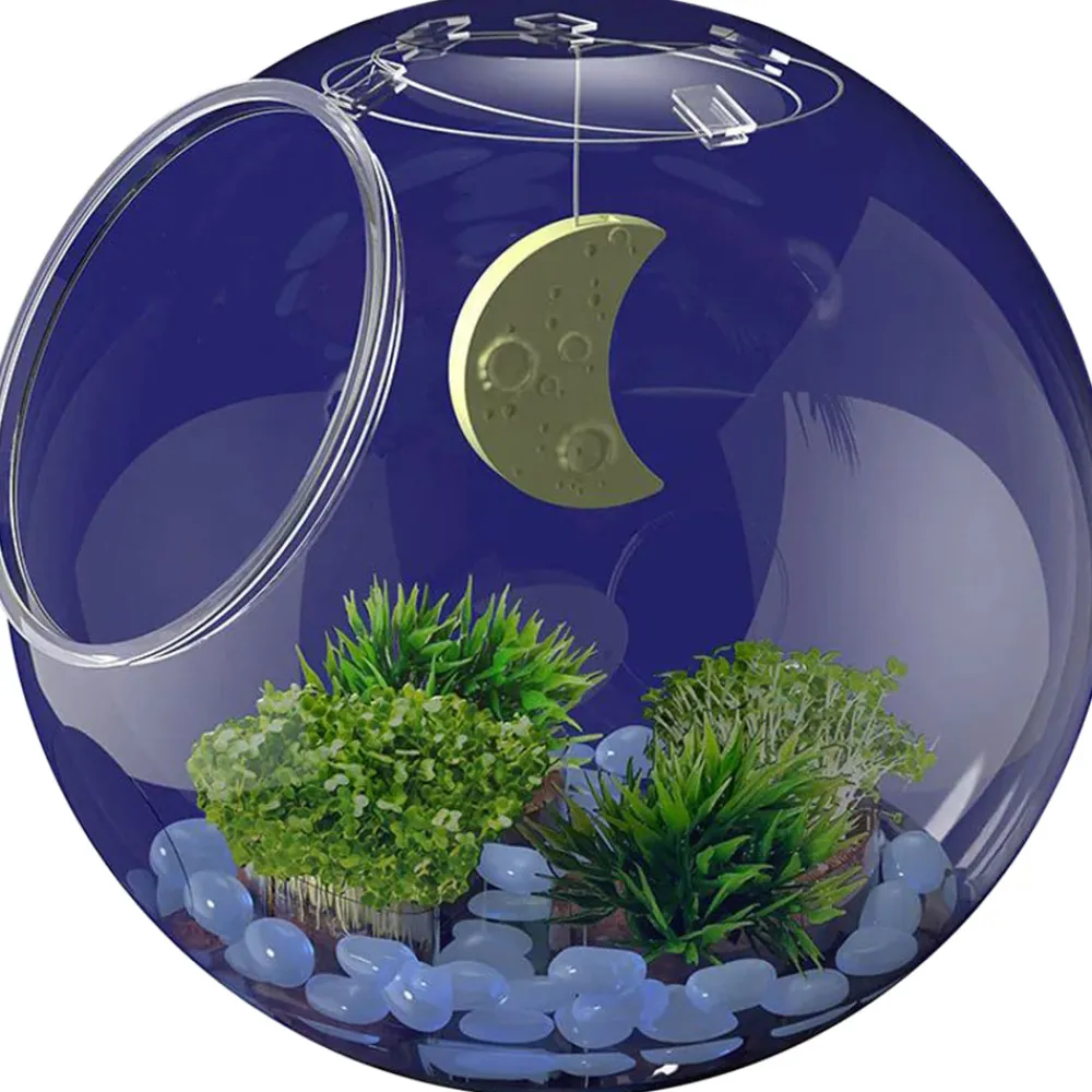 Thames & Kosmos WOW in the World Light-Up Terrarium New